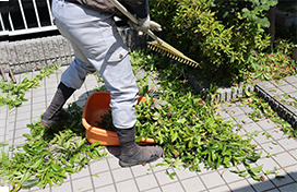 草刈り・草むしり
